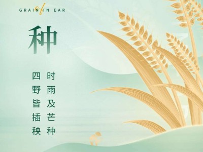 芒种丨忙有所得，种有所获！